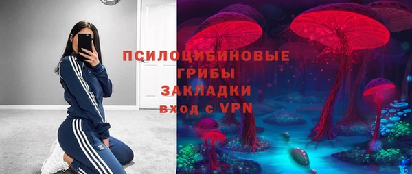 винт Арсеньев