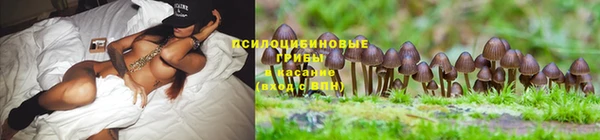 винт Арсеньев